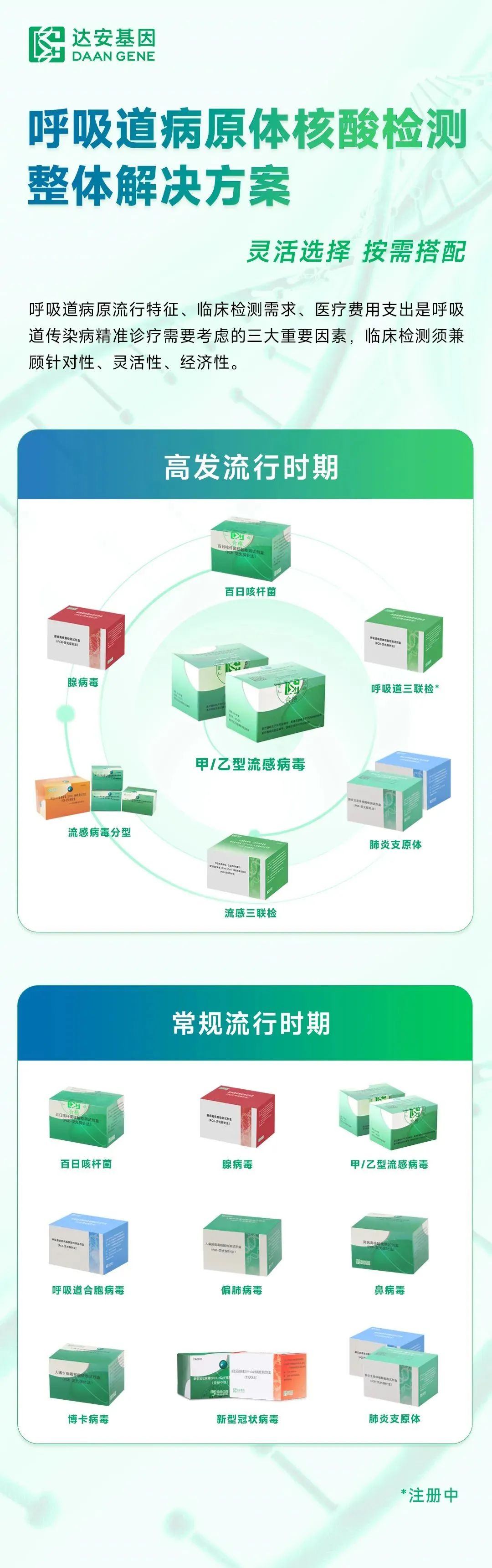 宏胜国际|Home
