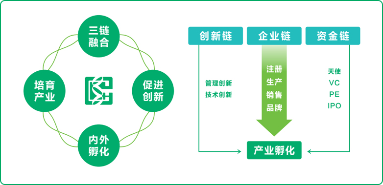 宏胜国际基因赋能生物医药全链发展
