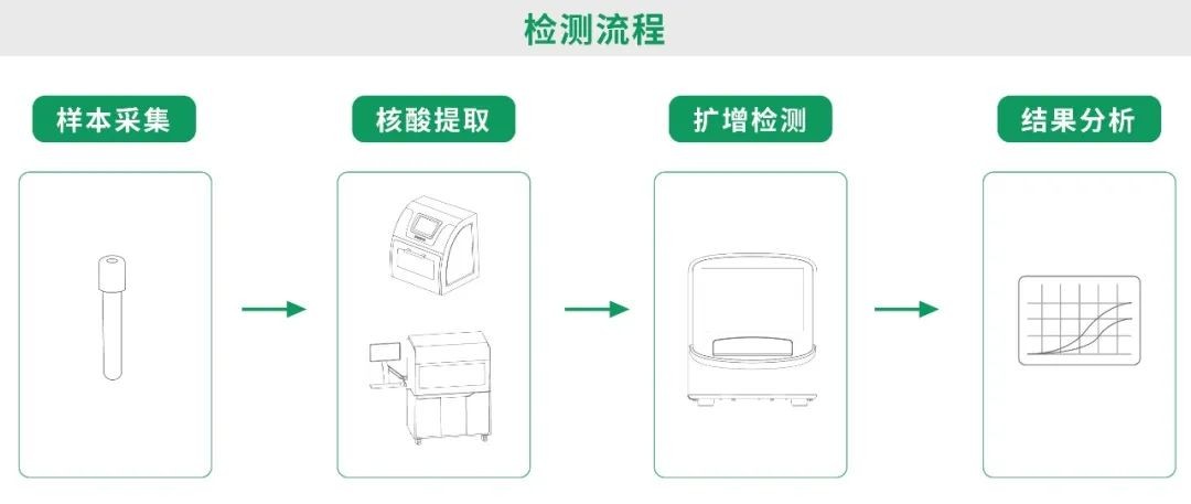 宏胜国际|Home
